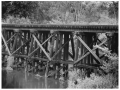 Copy+of+Pg+043++Goshen++Swamp+Trestle+14.jpg